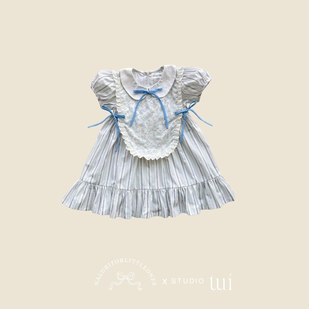 Nancy Dress