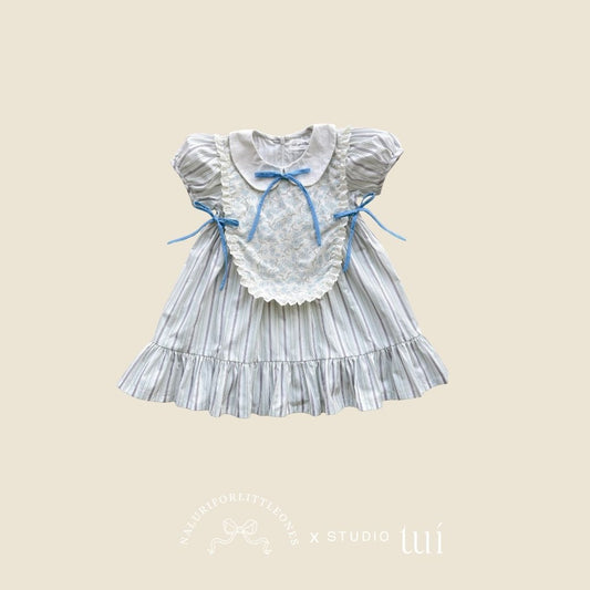 Nancy Dress