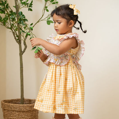 Fanya Dress